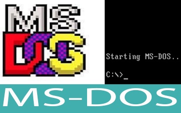 You are currently viewing MS-DOS