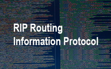 You are currently viewing RIP Routing Information Protocol
